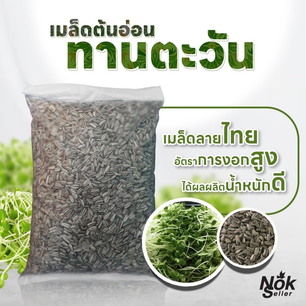 เมล็ดต้นอ่อนทานตะวัน 1 กก. เมล็ดทานตะวันลายไทย/ลายใหญ่(นำเข้า) เมล็ดทานตะวันเพาะงอก อัตราการงอกสูง