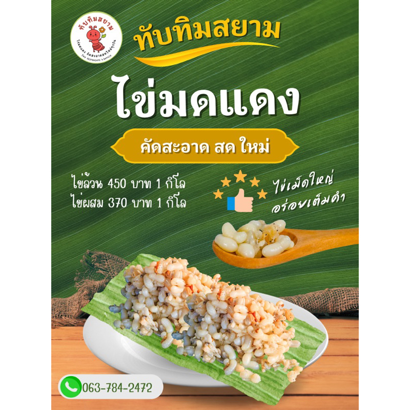 ไข่มดแดงทับทิมสยาม(สดใหม่ทุกวัน100%)