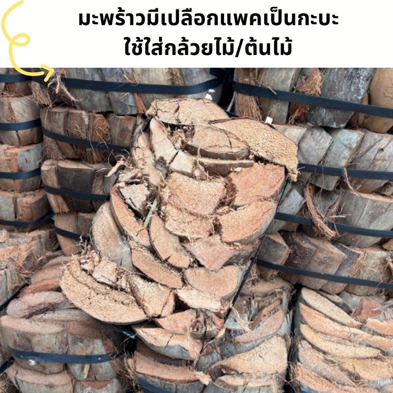 มะพร้าวเปลือกแข็งชิ้น แพ็ครวมเป็นกะบะมะพร้าว กาบมะพร้าว กาบแข็ง ปลูกกล้วยไม้