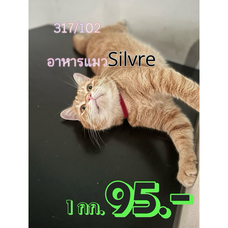 อาหารแมว silver เพื่อสุขภาพ