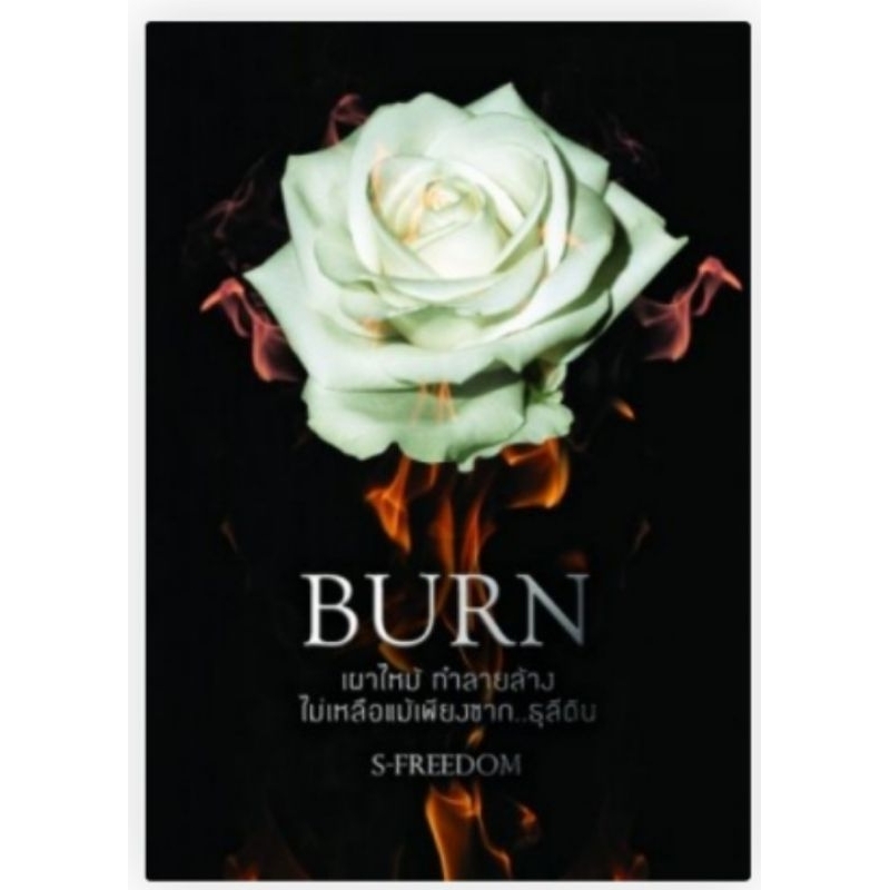 BURN  /  S-FREEDOM  นิยายทำมือ