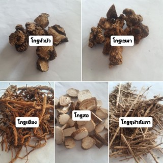 โกฐทั้ง5 โกฐเชียง โกฐสอ โกฐหัวบัว โกฐชฎามังสี โกฐจุฬาลัมภา