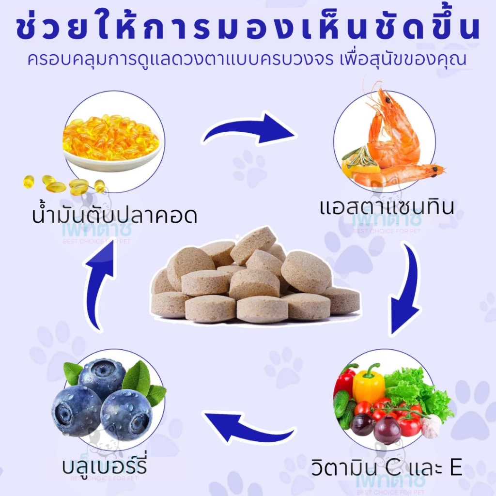 Oimmal Eye Care ดูแลสุขภาพตาสุนัข สูตรเม็ด ลดคราบน้ำตา บำรุงสายตา สายตาเสื่อมตามวัย วิตามินสุนัข thumbnail 5