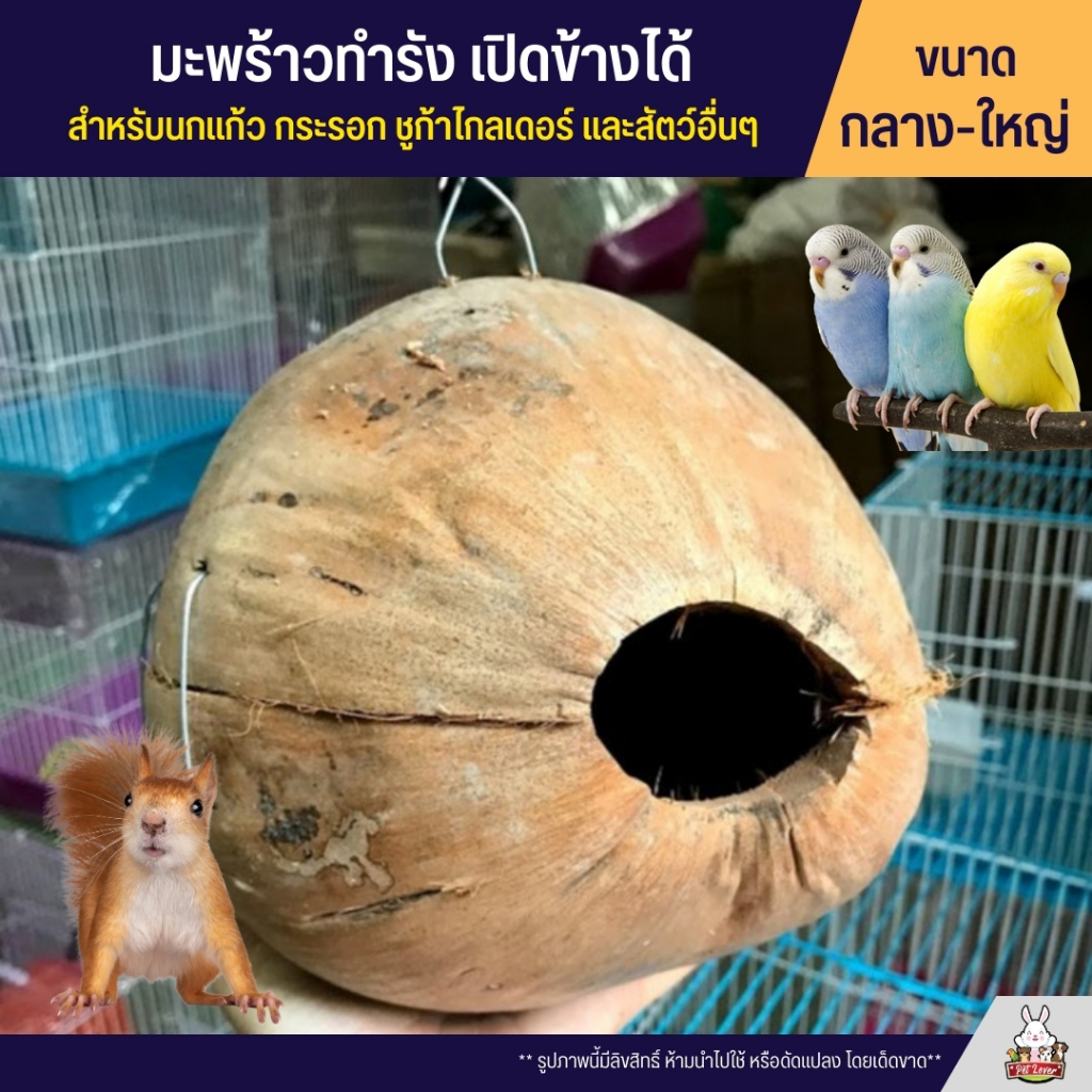 มะพร้าวทำรัง เปิดข้างได้ สำหรับ นกหงส์หยก กระรอก กระแต และสัตว์เลี้ยงอื่นๆ ไซส์กลาง-ใหญ่