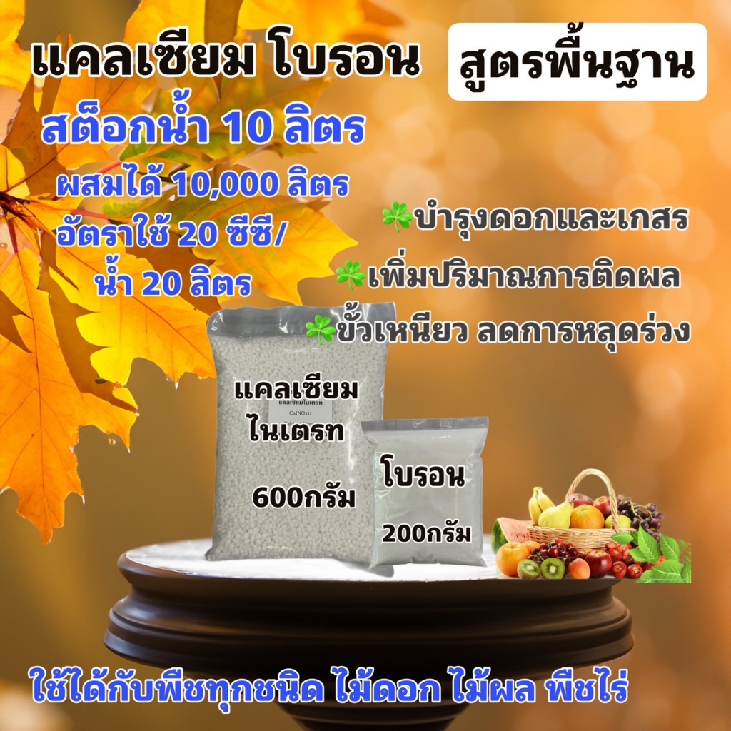 แคลเซียมโบรอน สูตรพื้นฐาน สต็อกน้ำ 10 ลิตร ขั้วเหนียว ไม่หลุดร่วง บำรุงดอกและเกสร