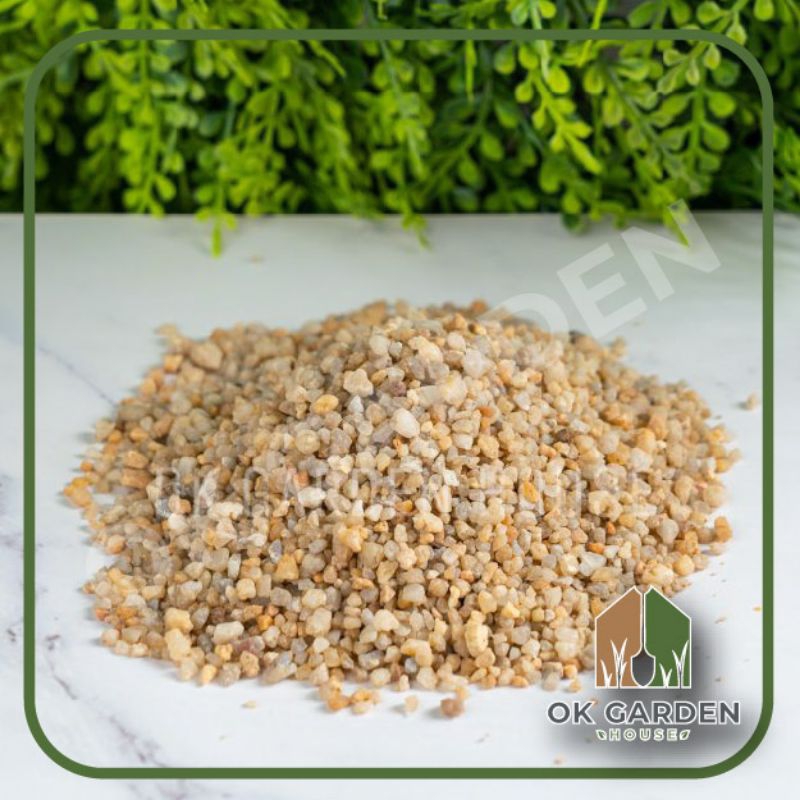 Ok Garden House ทรายจืด เบอร์ 16