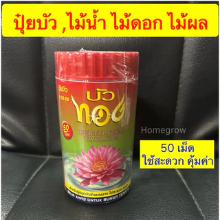 ปุ๋ยเม็ด สำหรับ บัว ไม้ผล หมาก ปาล์ม โป๊ยเซียน โกสน กุหลาบ ว่าน ชวนชม กล้วยไม้ ไม้ประดับ
