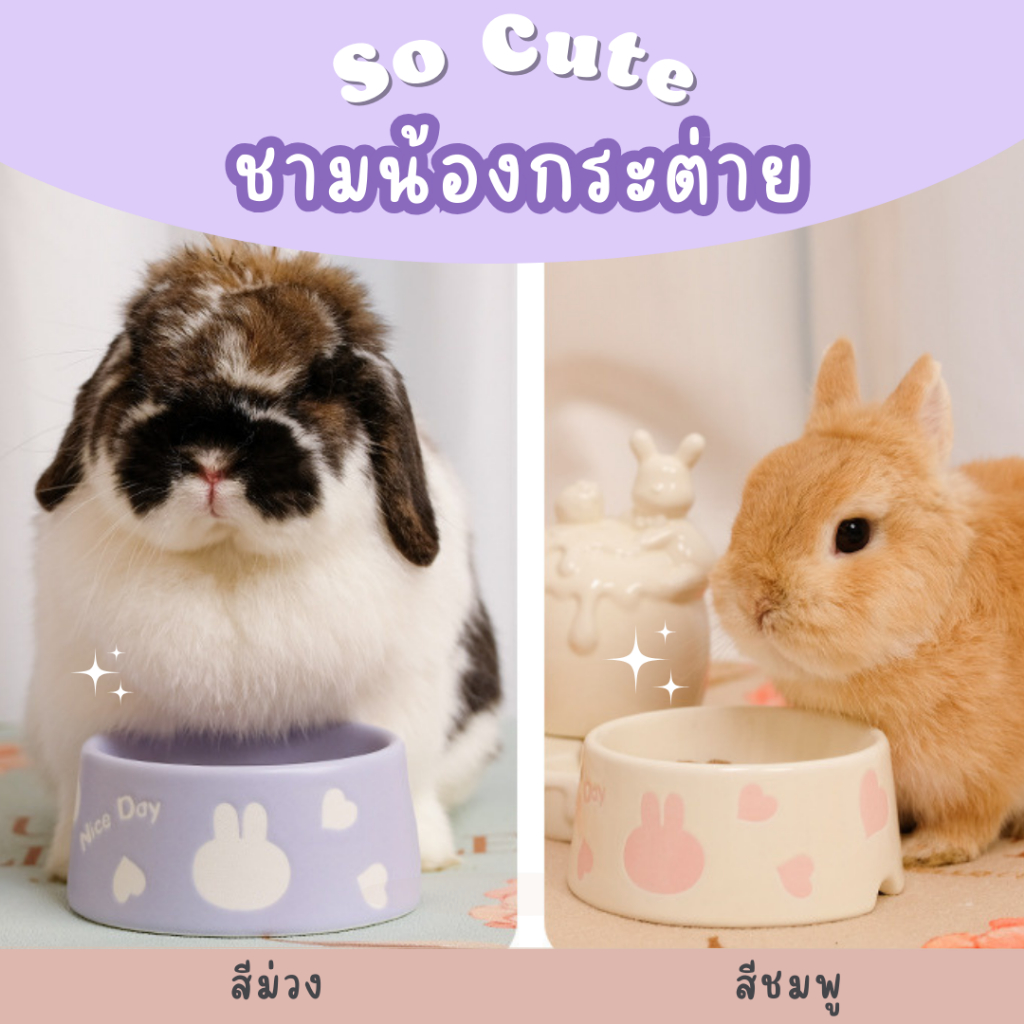 ส่งไว 1-2 วัน ชามใส่อาหารสัตว์เลี้ยง ถ้วยใส่อาหารกระต่าย ถ้วยกระต่าย ชามใส่อาหารกระต่าย