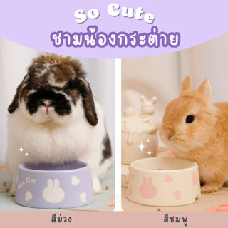 ส่งไว 1-2 วัน ชามใส่อาหารสัตว์เลี้ยง ถ้วยใส่อาหารกระต่าย ถ้ว…