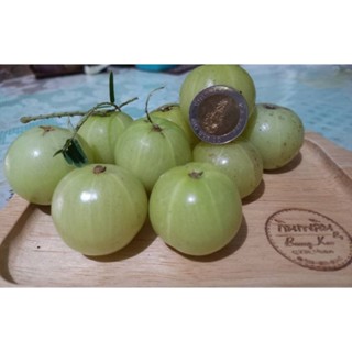 🫒 มะขามป้อม สมุนไพร จากธรรมชาติ ปลอดสารพิษ มีวิตามินซีสูง  ม…