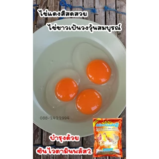 ซันไวตามินพลัส2 จำนวน3กิโล วิตามินไก่ไข่ เป็ดไข่ นกกระทาไข่ โดยเฉพาะ ของแท้จากสำนักงานใหญ่้