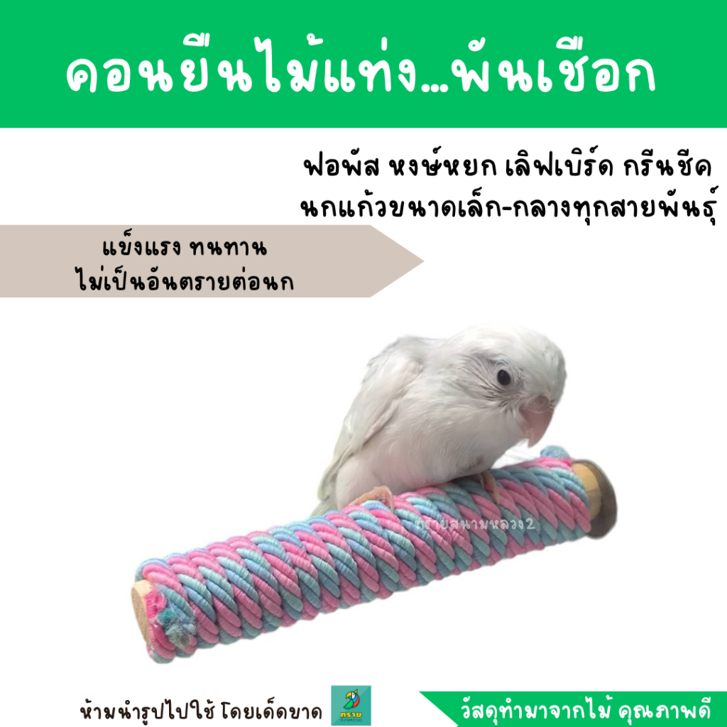 คอนยืนไม้แท่ง...พันเชือก สำหรับนกแก้วขนาดเล็ก-กลาง