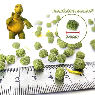 chishop อาหารเต่าบก สูตรกระบองเพชร ส่วนผสมมาจากธรรมชาติ ไม่ปรุงแต่งกลิ่นเพิ่มเติม