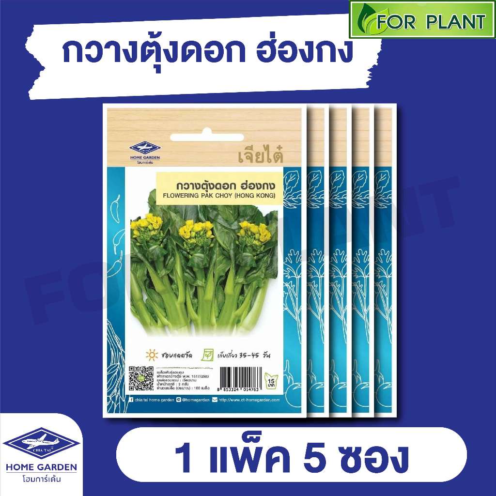 ผักซองเจียไต๋ CT15 กวางตุ้งดอกฮ่องกง บรรจุแพ็คล่ะ 5 ซอง ราคา 43 บาท