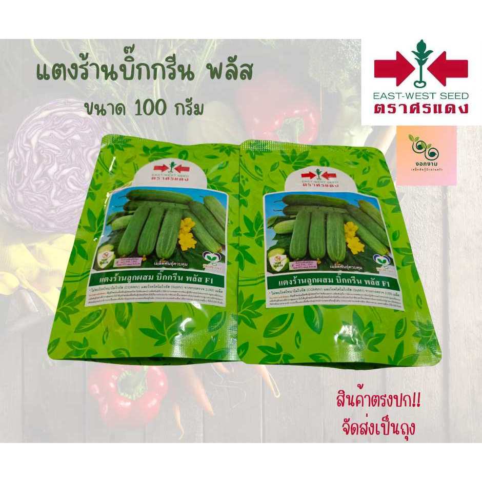 เมล็ดแตงร้านบิ๊กกรีนพลัส ขนาด 100 กรัม