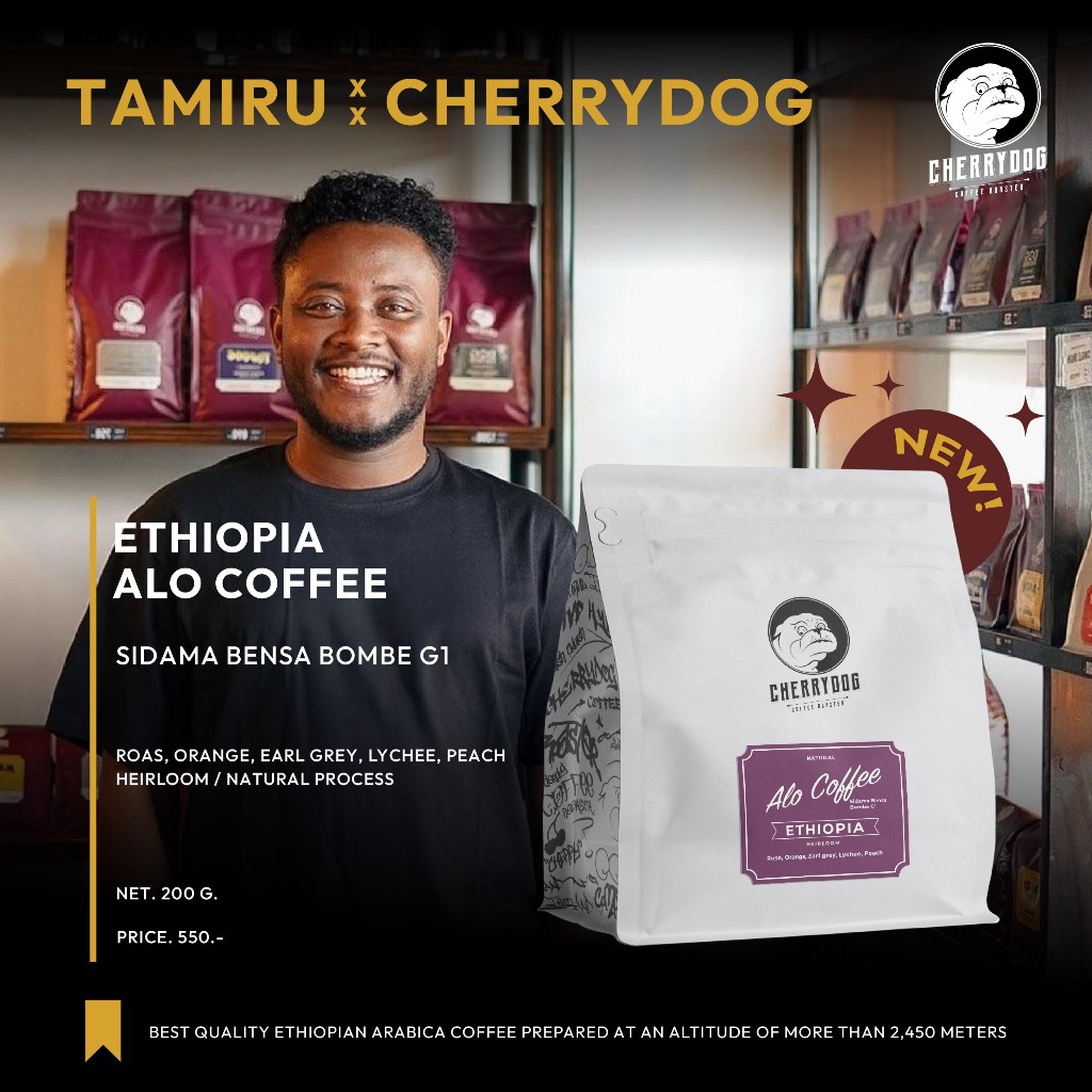 Cherrydog X Tamiru เมล็ดกาแฟพิเศษคั่วอ่อน Ethiopia Alo coffee Sidamo Bensa Bombe G1 Natural