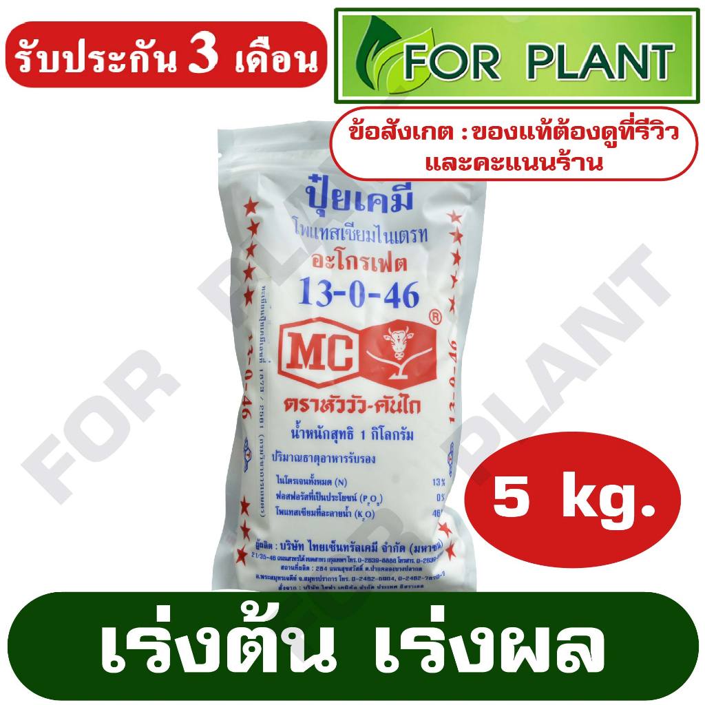ปุ๋ย สูตร 13-0-46 ตราหัววัว ปุ๋ยเกร็ด สำหรับผสมน้ำ ฉีด พ่น บรรจุ 5 กิโลกรัม (สินค้าตรงปก)