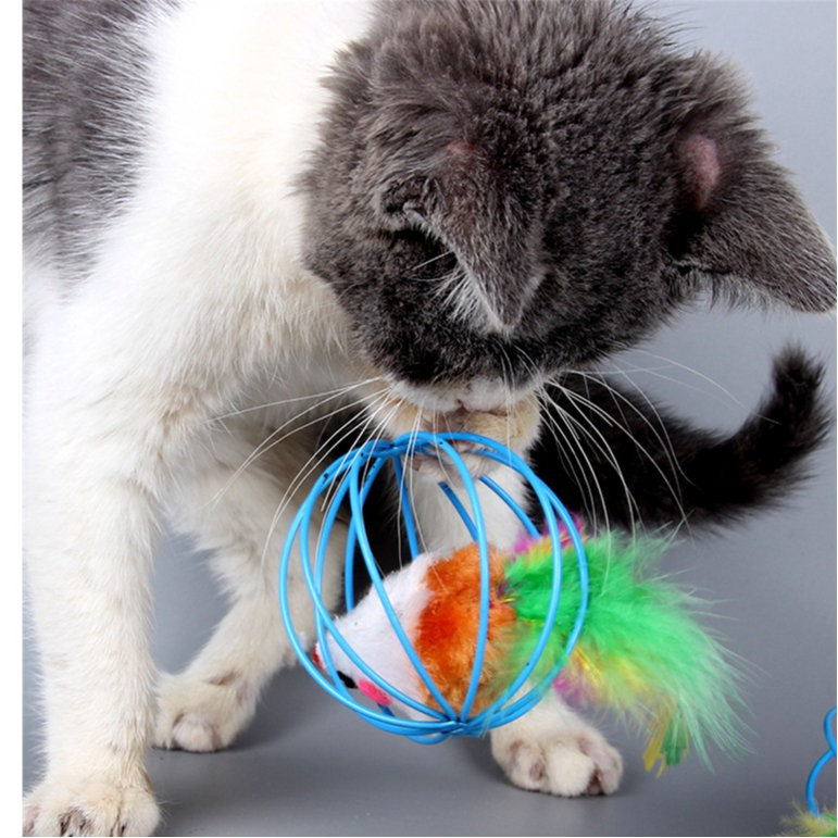 Thai.th  ของเล่นแมวบอลกรงหนู  ของเล่นสำหรับสัตว์เลี้ยง พกพาสะดวก ( คละสี ) TT01(มีราคาส่ง)