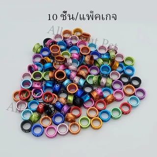 All About Pet ห่วงขานกแก้ว 10 ชิ้น ห่วงขานก ห่วงเปิดคล้องขานก ห่วงเปิด ทำจากอลูมิเนียม น้ำหนักเบา