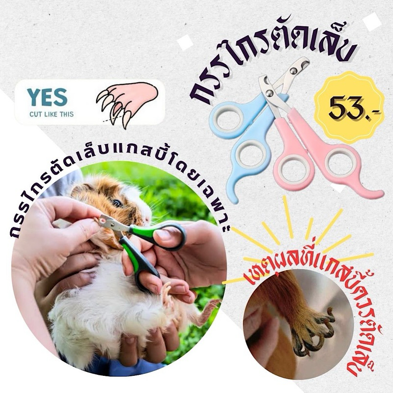 กรรไกรตัดเล็บสำหรับสัตว์เล็ก