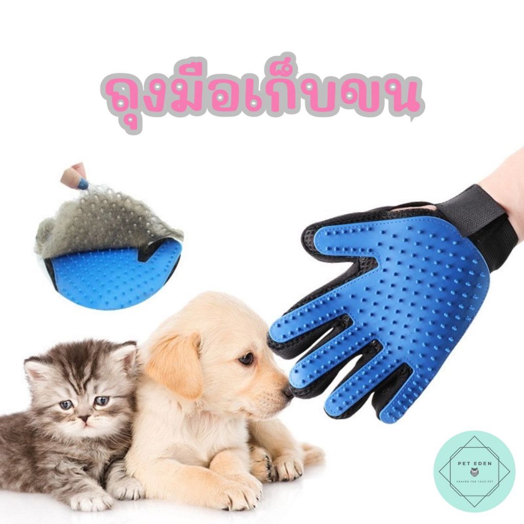 ถุงมือแปรงขน ถุงมือกำจัดขน หมา แมว สุนัข Hand ทำความสะอาด