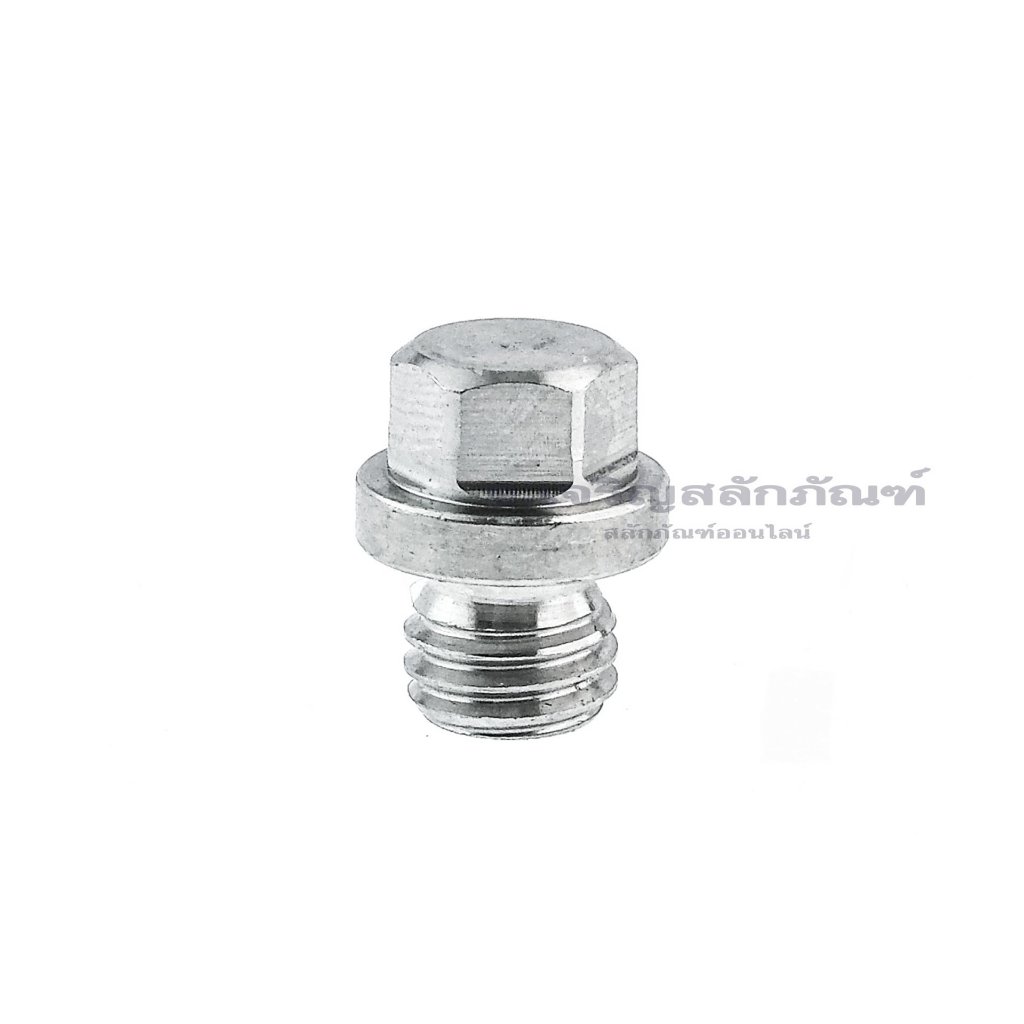 น็อตอุดสแตนเลส Stainless Steel Plug Bolt ขนาด M10 M12 M14 M16 M18 M20 M22 M24 M27 (แพ็คละ 1 ตัว)