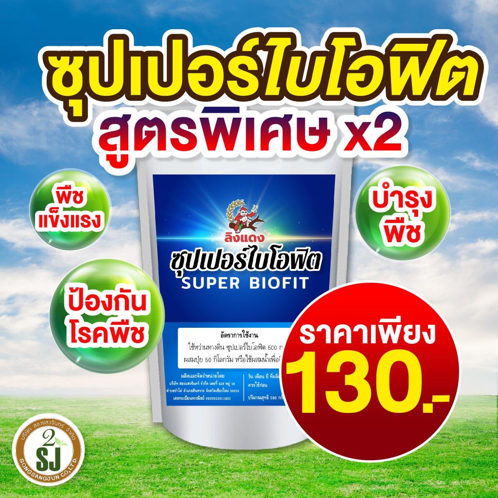 วัคซีนพืชป้องกันโรคพริกเน่า โรคกุ้งแห้ง ผลเน่า โคนเน่า ใบหยิก ใบเหลือง โรคพริก เชื้อรา เชื่อไวรัส โรคพืชในฤดูฝน ไคโตซาน