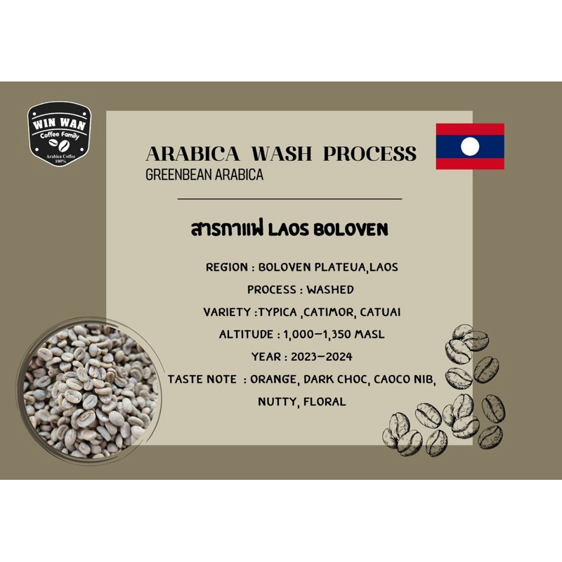 สารกาแฟ LAOS BOLOVEN ProcessWashed 23-24