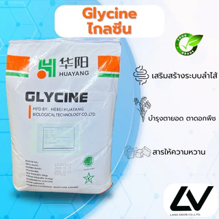 Glycine : ไกลซีน (กรดอะมิโน ) 1kg