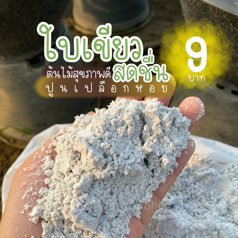 ปูนขาว ปูนเปลือกหอย 9 บาท ปรับดินดีทันที พักรักษาหน้าดิน ปรับสภาพน้ำได้