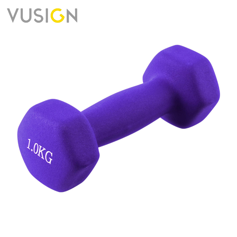 Vusign ดัมเบล ดัมเบลยกน้ำหนัก ดัมเบลออกกำลังกาย ลดไขมัน สร้างกล้ามเนื้อแขน 1 Kg- 3 Kg Dumbbells