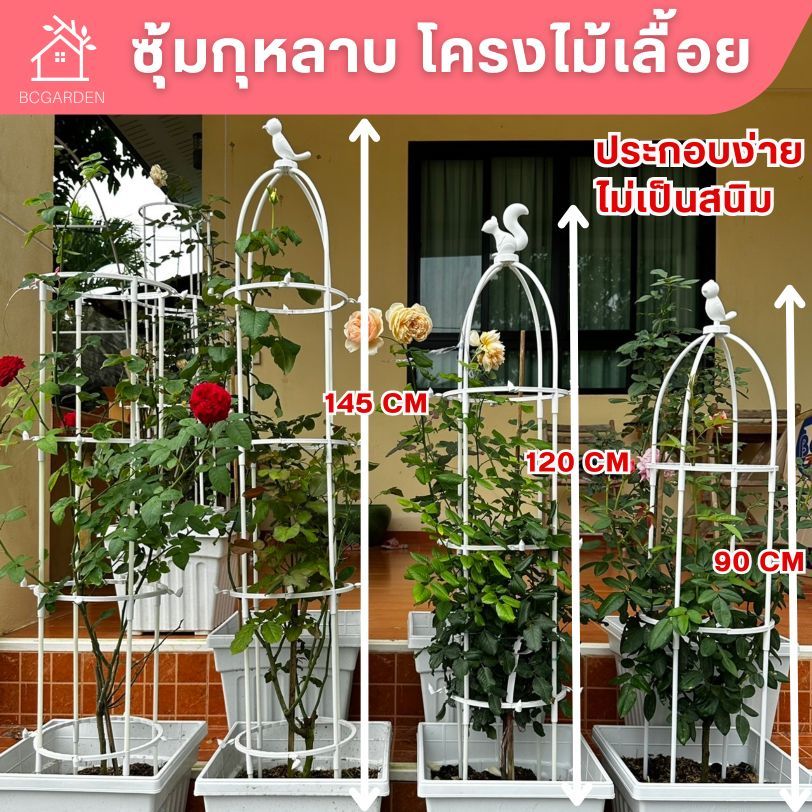 ซุ้มกุหลาบ ซุ้มไม้เลื้อย ซุ้มกุหลาบเลื้อย โครงกุหลาบเลื้อย หัวกระรอก โครงไม้เลื้อย ไม่เป็นสนิม แต่งสวน