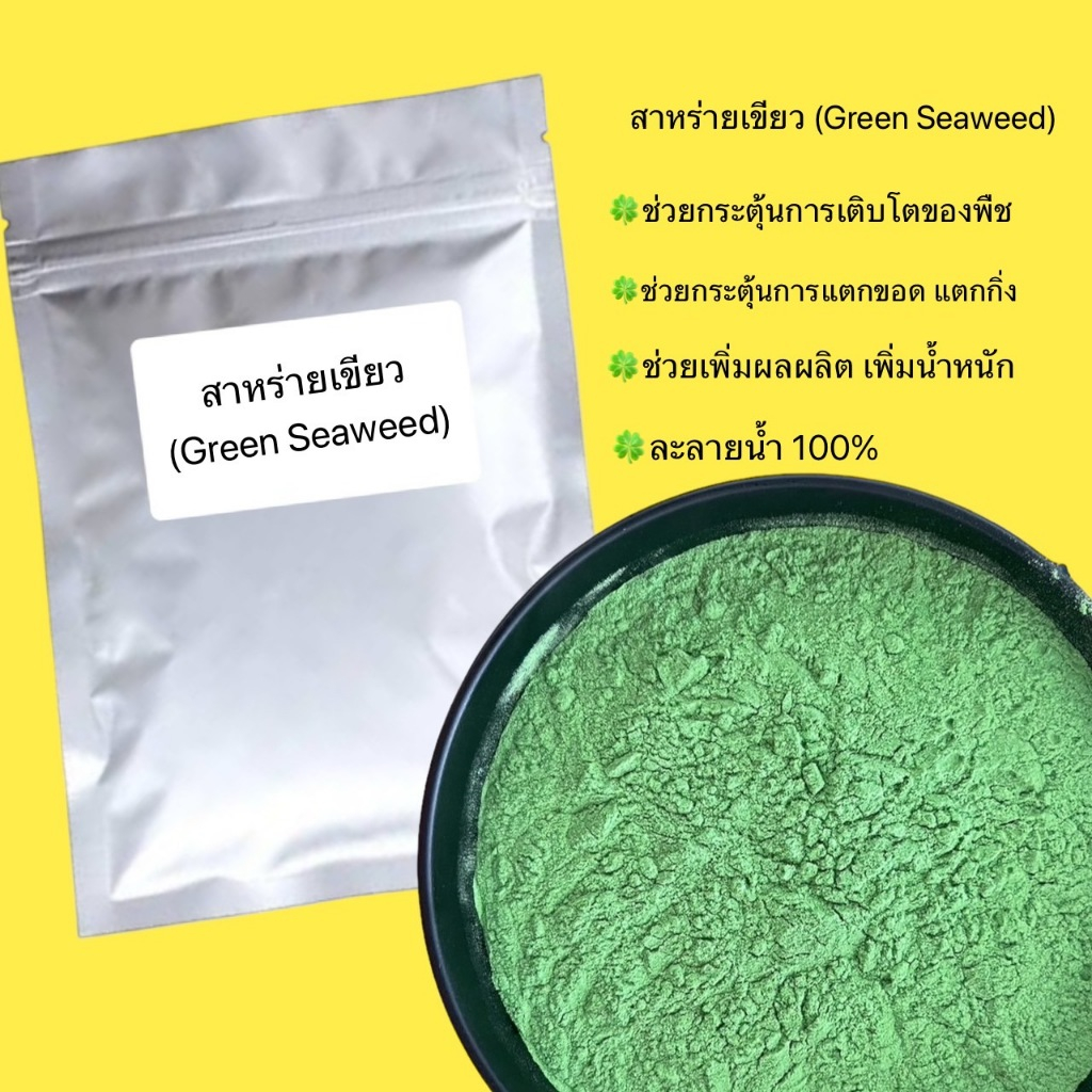 สาหร่ายสีเขียว Green Seaweed Extract ขนาด1กิโลกรัม