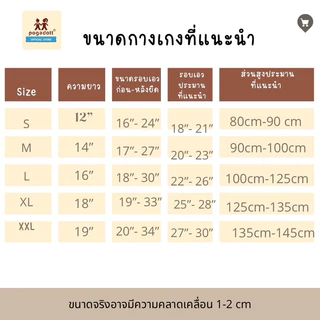 POGADOTT กางเกงเด็กผู้ชาย 2-14 ปี มีสีใหม่❤️สีพื้นผ้าฝ้าย ขา 3 ส่วน รุ่น Basic Kids