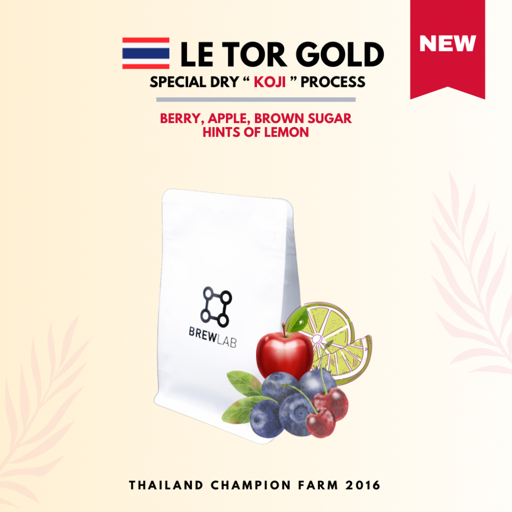 เมล็ดกาแฟ Le Tor Gold - Thailand Champion Farm 2016