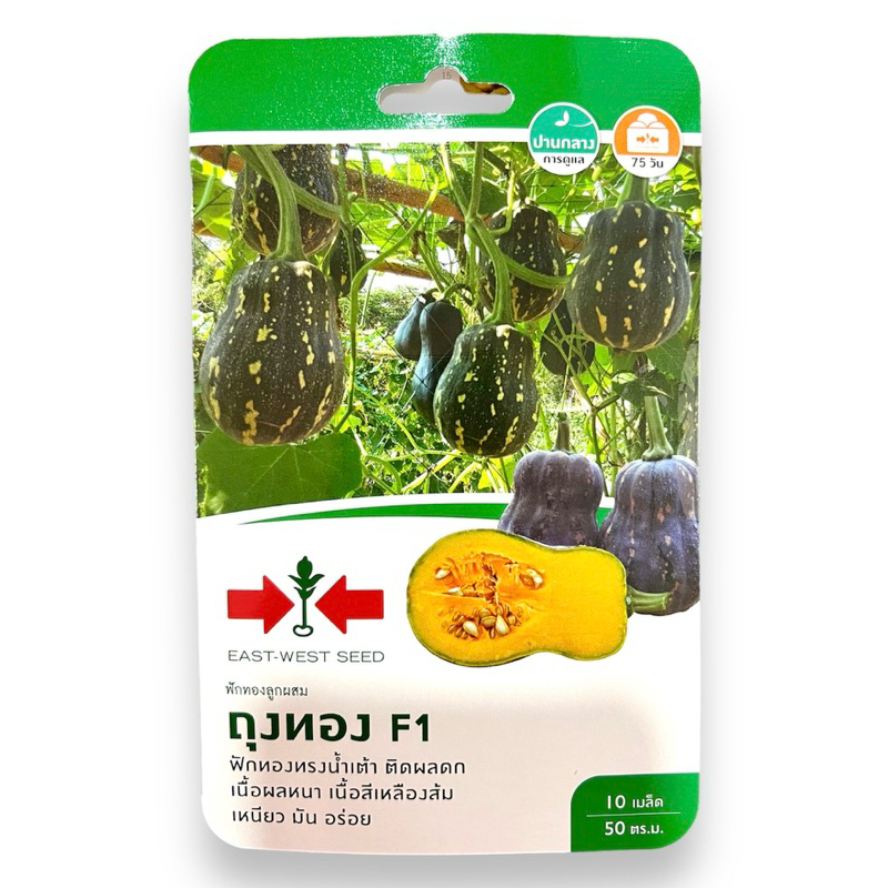 ศรแดง เมล็ด ฟักทอง ถุงทอง (10 เมล็ด)