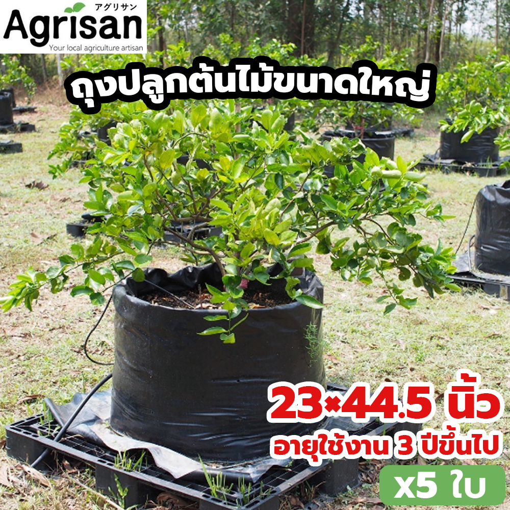 ถุงปลูกต้นไม้ขนาดใหญ่ 5 ใบ ขนาด 23x44.5 นิ้ว ถุงปลูกมะนาว ถุงเพาะปลูก ใช้งานได้ยาวนาน ถุงใส่ต้นไม้