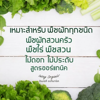 พืชผักใบเขียว INSAY ยูเรียน้ำ บำรุงต้น บำรุงใบ ส่งเสริมการเจริญเติบโต ใช้กับพืชผักทุกชนิด 250 มล.
