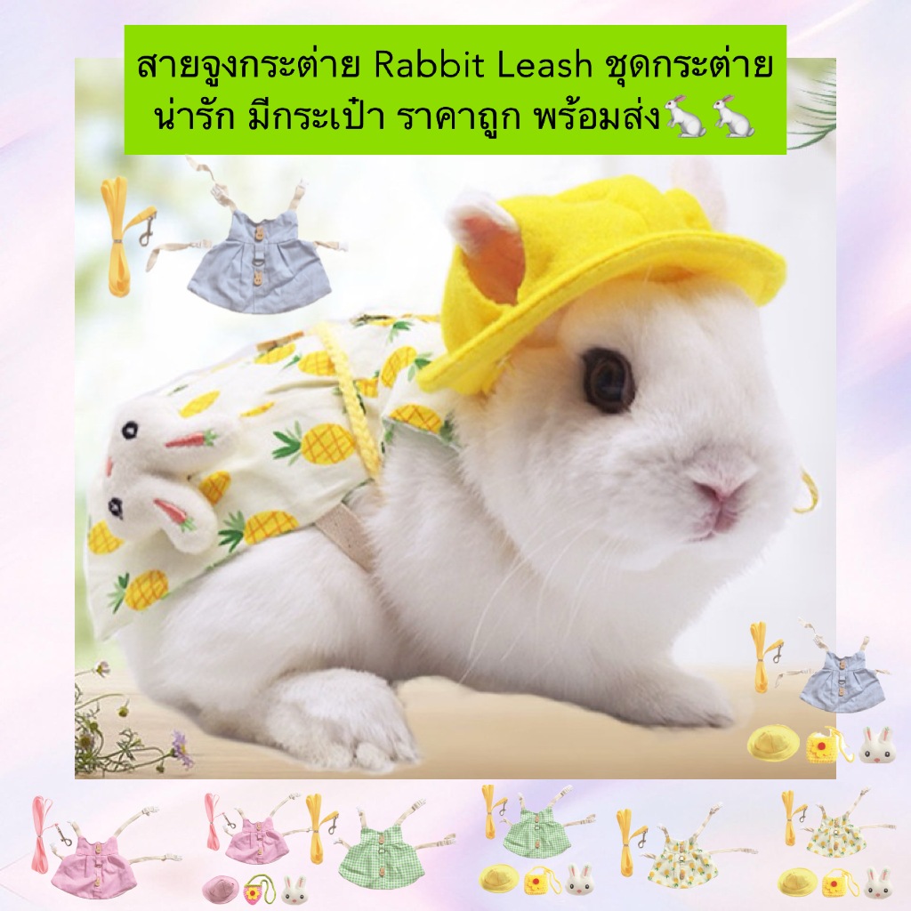 AL-873 สายจูงกระต่าย Rabbit Leash ชุดกระต่าย น่ารัก มีกระเป๋า ราคาถูก พร้อมส่ง
