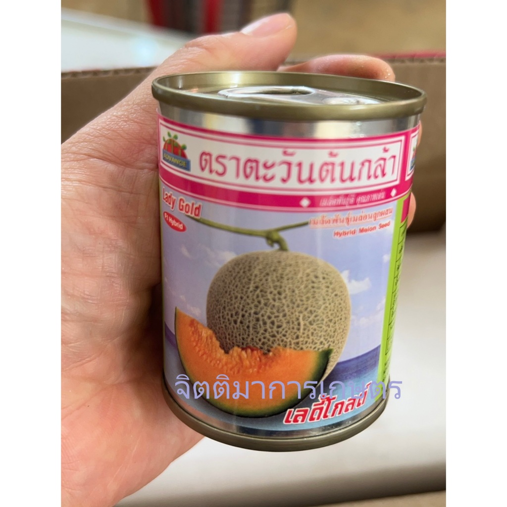 เมล็ดพันธุ์เมล่อนลูกผสม เลดี้โกลด์ 20กรัม