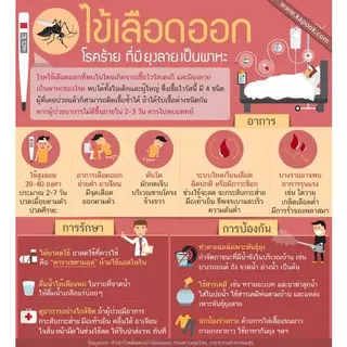 น้ำยาพ่นหมอกควัน ไซเพอร์การ์ด 10 อีซี ยาฆ่าแมลง กำจัดยุง สำหรับฉีดฆ่ายุง ใช้พ่นหมอกควันมี อย.ปลอดภัย