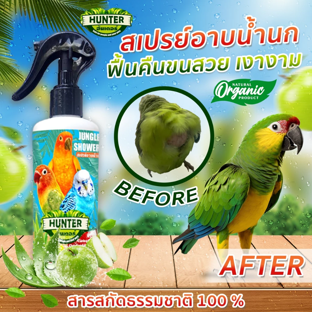**ยอดนิยม**สเปรย์อาบน้ำนก ป้องกันไรนก ลดคัน ขนร่วง บำรุงขน ลดแบคทีเรีย ลดคัน ขนร่วง บำรุงขน สูตรแอปเปิ้ลว่านหางจระเข้