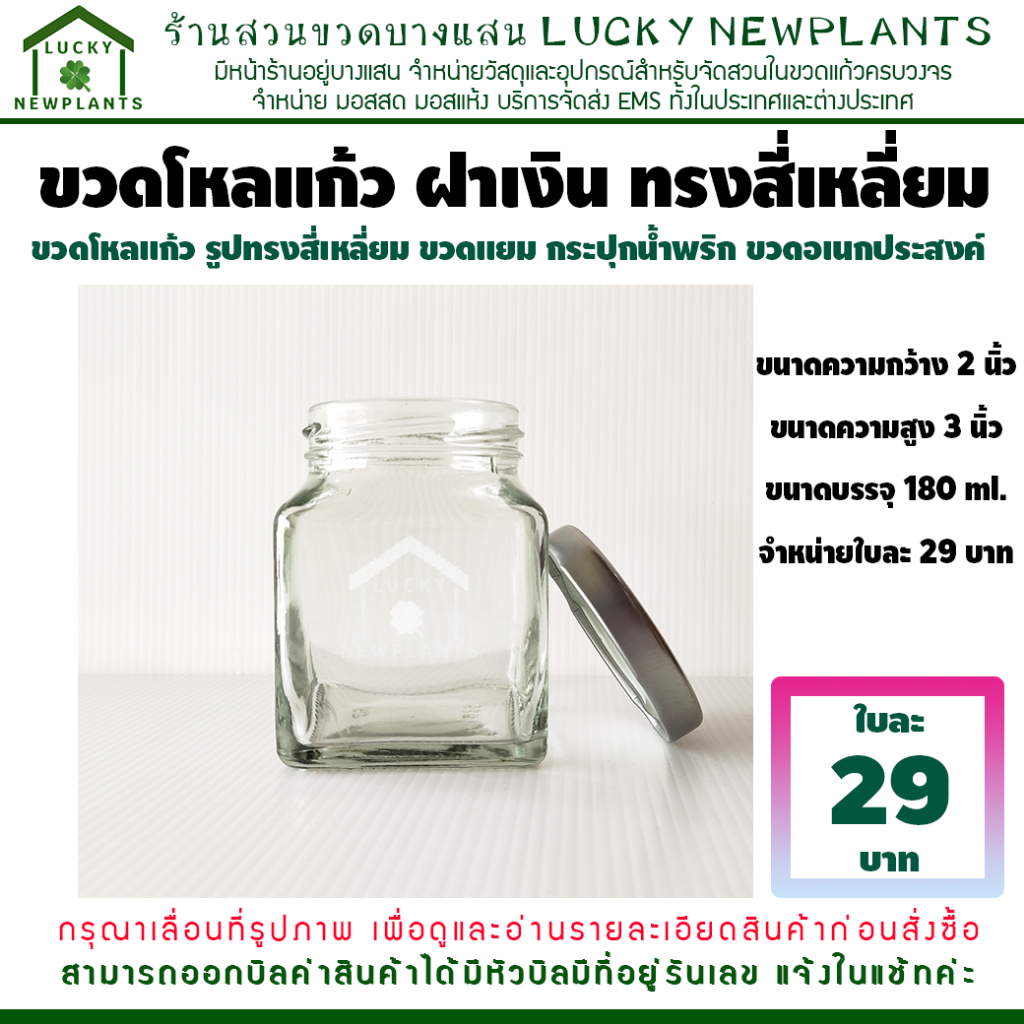 ขวดโหล ทรงสี่เหลี่ยม ใบละ 29฿ ขวดบรรจุอาหาร ขวดจัดสวน