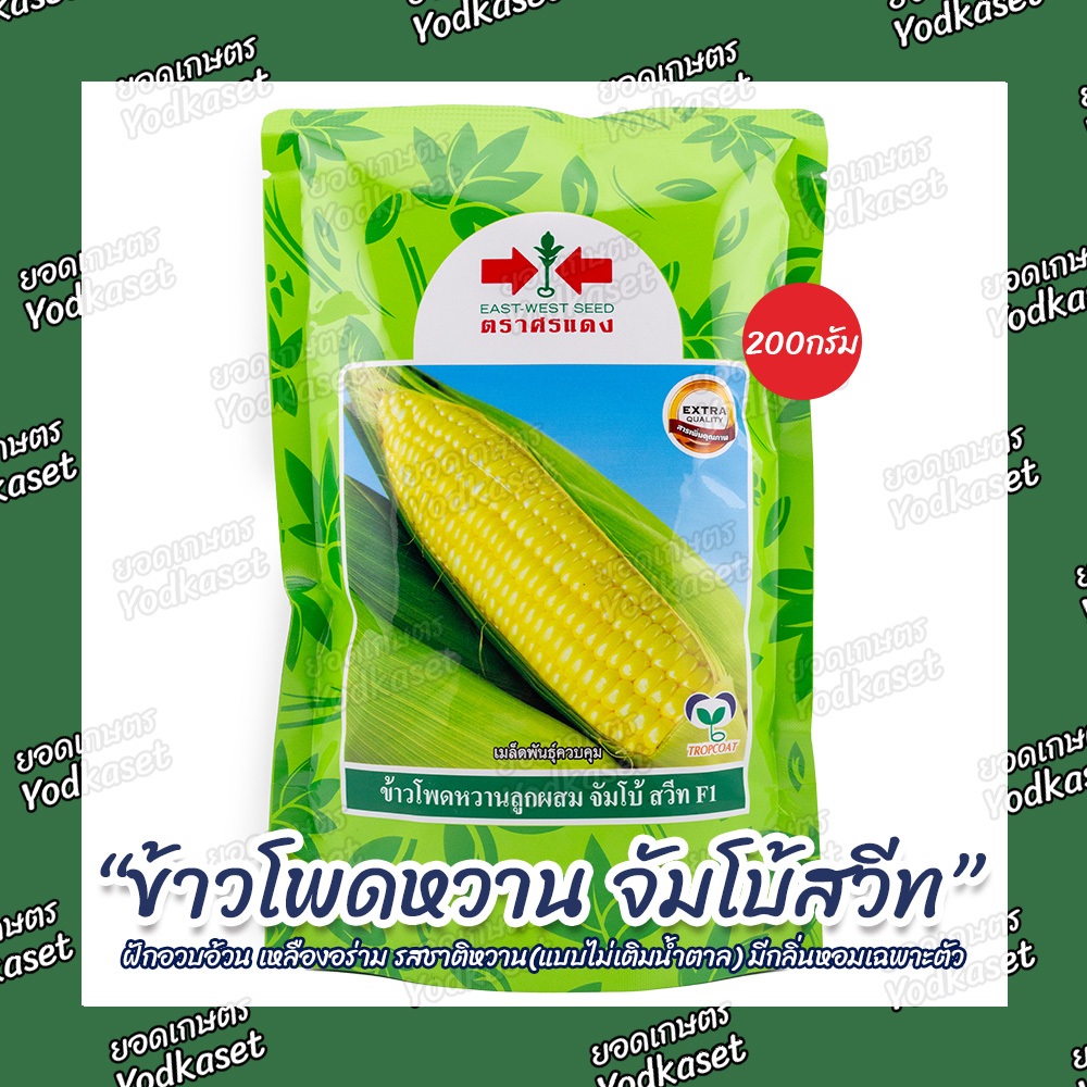 เมล็ดพันธุ์ข้าวโพดหวาน"จัมโบ้ สวีท" ตราศรแดง 200กรัม