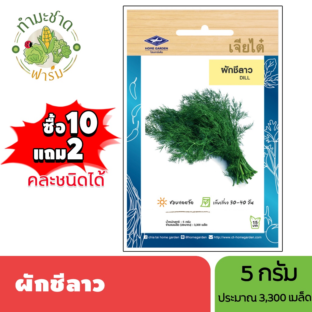 เจียไต๋ (ซื้อ10แถม2) เมล็ดพันธุ์ ผักชีลาว ขนาด5กรัม ประมาณ3,300เมล็ด Dill ผักจี เมล็ดพันธุ์พืช เมล็ดผัก ปลูกผักสวนครัว