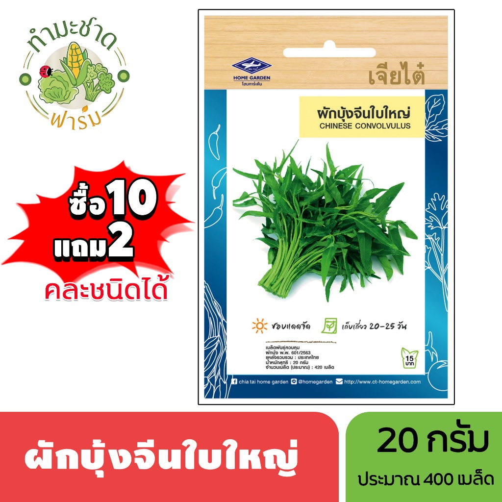 เจียไต๋ (ซื้อ10แถม2) เมล็ดพันธุ์ ผักบุ้งจีนใบใหญ่ ขนาด20กรัม ประมาณ420เมล็ด Morning Glory ผักบุ้งจีน เมล็ดพันธุ์พืช เมล็