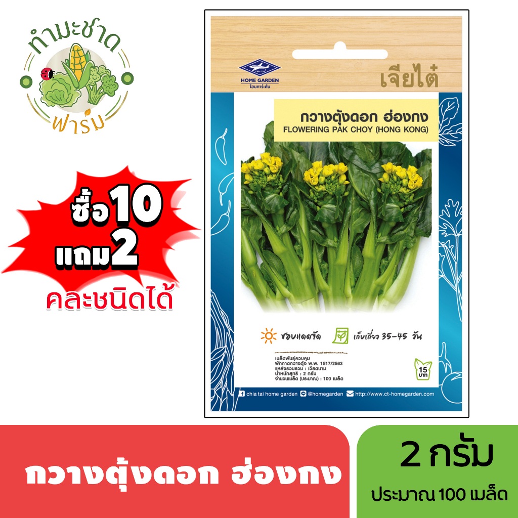 เจียไต๋ (ซื้อ10แถม2) เมล็ดพันธุ์ กวางตุ้งดอกฮ่องกง ขนาด2กรัม ประมาณ100เมล็ด Flowering Pak Choy กวางตุ้งดอก เมล็ดพันธุ์พื