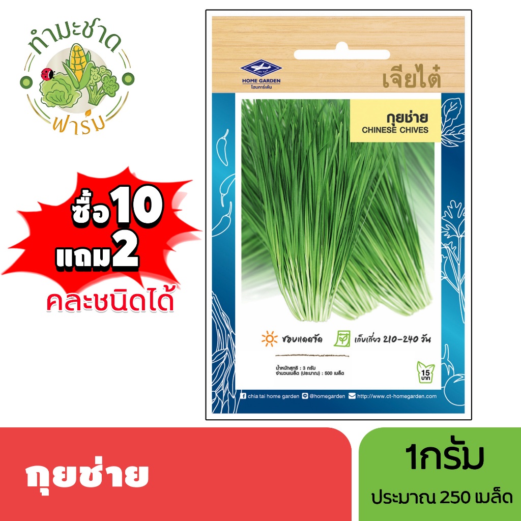 เจียไต๋ (ซื้อ10แถม2) เมล็ดพันธุ์ กุยช่าย ขนาด1กรัม ประมาณ250เมล็ด Chinese Chives กุ้ยช่าย กุ้ยฉ่าย กุยฉ่าย เมล็ดพันธุ์พื