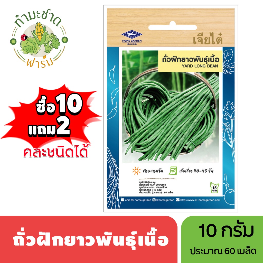 เจียไต๋ (ซื้อ10แถม2) เมล็ดพันธุ์ ถั่วฝักยาวพันธุ์เนื้อ ขนาด10กรัม ประมาณ60เมล็ด Yard Long Bean ถั่วฝักยาว เมล็ดพันธุ์พืช