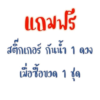 ขวดเพ็ทน้ำยาล้างจาน 250-600 ซีซี (50 ใบ/ห่อ) (พร้อมฝาจุกดึง) ขวดพลาสติก ✅✅